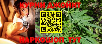 крисы Кингисепп