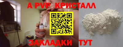 крисы Кингисепп