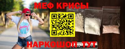 крисы Кингисепп