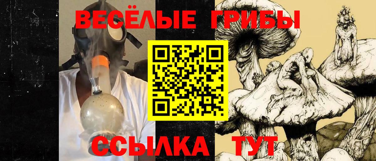 Галлюциногенные грибы Psilocybine cubensis Кудрово